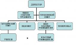 Информация об органах управления и структурных подразделениях